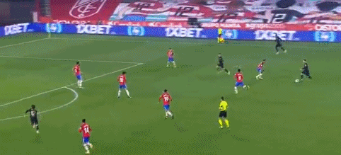 了不起！广东女选手4次参加残特奥会终夺金