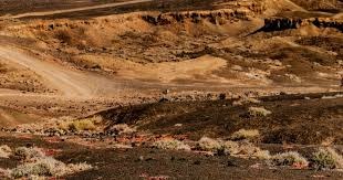 《刺客信条：影》风格的双主角设定未来可能会延续